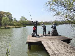 -苏州太湖国家湿地公园