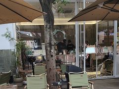 -宝藏绿洲(扬韬广场店)