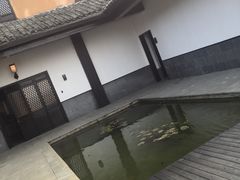 -崇阳三特浪口温泉