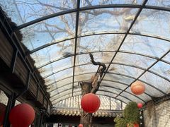 -zarah(鼓楼店)