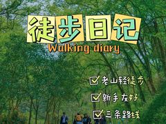 -老山国家森林公园