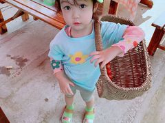 -樂桃源奉贤黄桃种植采摘基地