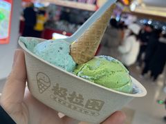 -极拉图·现制冰淇淋(大卫城店)