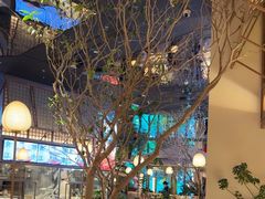 -桂满陇·海市蜃楼·黑金(国金店)