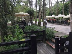 -瑞穗牧场