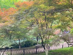 -岳麓山风景名胜区