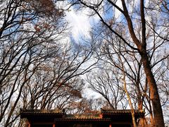 -紫霞湖公园