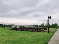 -西京湾花海