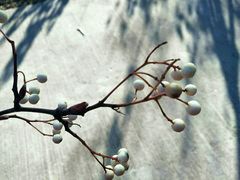 -鬼笑石后山停车场