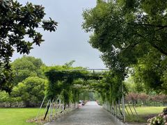 -上海滨江森林公园