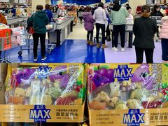 -盒马X会员店(上海森兰商都店)