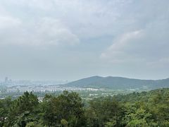 -苏州上方山国家森林公园