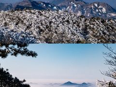 -安吉龙王山风景区
