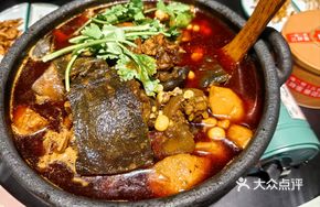 15-Year Fermented Sauce Old Softshell Turtle