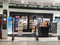 -谢列梅捷沃国际机场