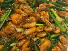 -红果树(江光店)