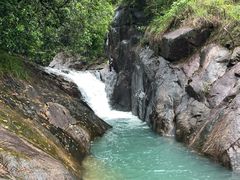 -广州白江湖森林公园