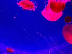 -沈阳海洋探索中心