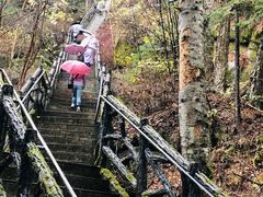 -汤旺河林海奇石景区