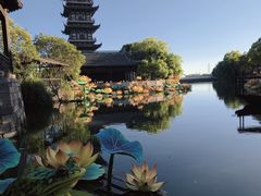-乌镇西栅景区