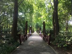 -上海滨江森林公园