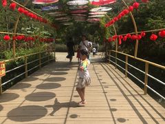 -李小龙乐园(顺德均安店)