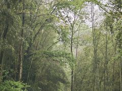 -常德桃花源景区