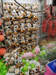 -莫莉幻想儿童乐园(北京天通苑华联店)