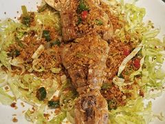-猪肉婆私房菜(容桂总店)