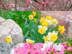 -上方山森林动物世界