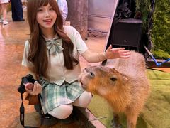 -正佳雨林生态植物园