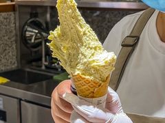 -野人先生Gelato(上海长宁龙之梦店)