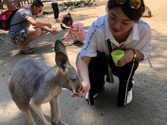 -可伦宾野生动物保护区