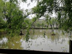 -长兴太湖图影湿地文化园
