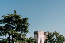 -华东饭店·园林式婚礼宴会厅酒店