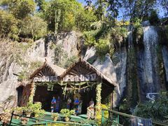 -西双版纳原始森林公园