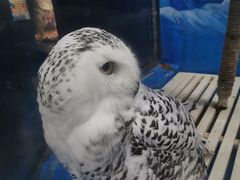 -成都浩海立方海洋公园