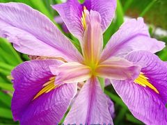 -漕溪路(地铁站)