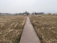 -径山花海