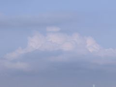 -深圳湾公园(南山区)