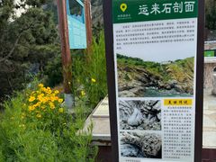 -灵山岛风景区