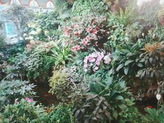 -颐而康·按摩·艾灸·足疗(汽车东站店)