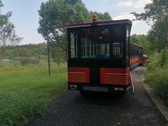 -东平国家森林公园