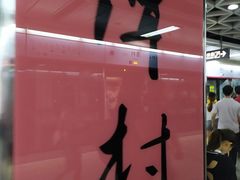 -潭村(地铁站)