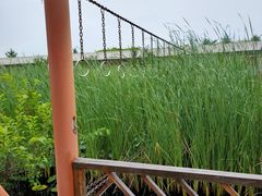 -河北村民俗体验园