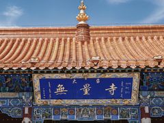 -大召无量寺