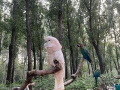 -北京野生动物园