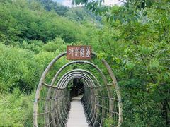 -欢乐松鼠谷