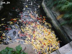 P1000639-绿色时代大酒店