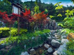 -麦积山温泉